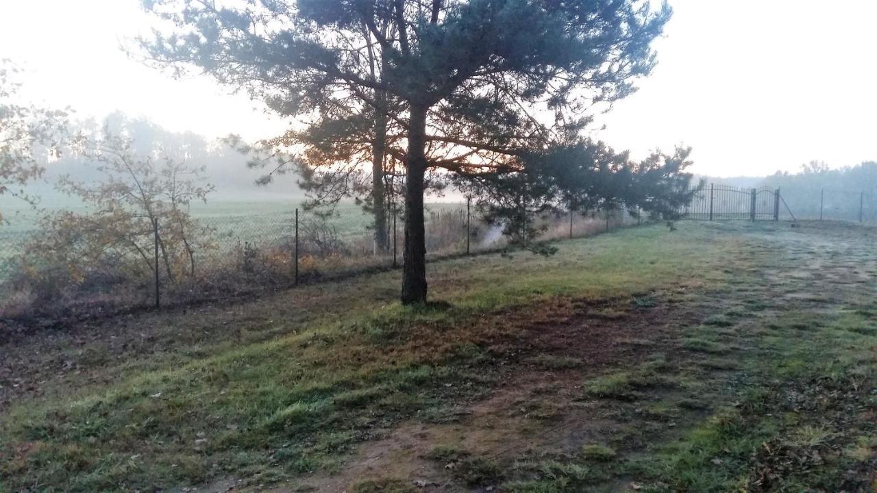 Willa Kraniec Swiata - Tylko Dla Ciebie - Zachwyca Krajobrazem, Regeneruje Cisza I Komfortem Boleslawiec  Luaran gambar